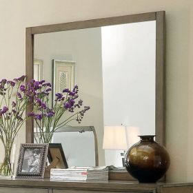Enrico I Contemporary Style Gray Finish Mirror