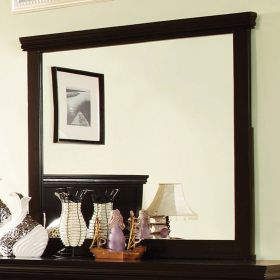 Pebble Contemporary Espresso Mirror