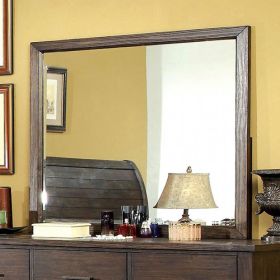 Ribeira Transitional Style Dark Walnut Finish Mirror