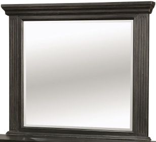 Roisin Transitional Style Mirror, Wire Brushed Black