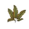 35 Inch Tropical Metal Palm Leaf Wall Mount Accent Decor, Brushed Green, Antique Yellow, Black