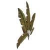 35 Inch Tropical Metal Palm Leaf Wall Mount Accent Decor, Brushed Green, Antique Yellow, Black