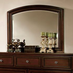 Northville Transitional Style Mirror