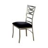 Roxo Contemporary Side Chair With Black Micro Fabric Cushion, Set of 2