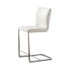 Lodia II Contemporary Counter Height Chair Withvwhite Pu, Set of 2
