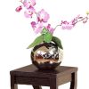 Square Top Wooden Plant Stand with Curved Legs and Shelves, Small, Dark Brown