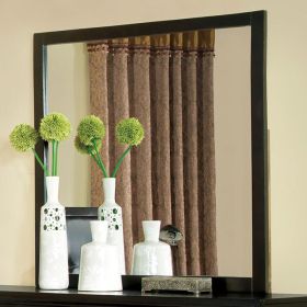 Contemporary Mirror With Wooden Frame, Espresso Brown