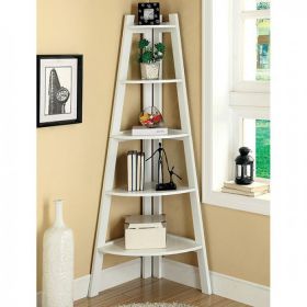High And Spacey Contemporary Ladder Shelf, White