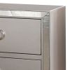 Two Drawer Nightstand With Mirror Insert Front Trim, Platinum