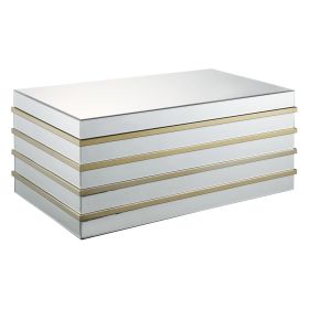 Modern Style Rectangular Metal and Mirror Coffee Table, Silver and Gold