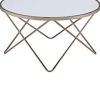 Contemporary Style Round Glass and Metal Coffee Table, White and Gold