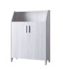 2 Door Wooden Shoe Cabinet with Top Shelf Storage, White