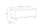 Medallion Pattern Wooden Storage Bench with Hinged Opening, White