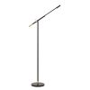10 Watt Adjustable Metal Frame Floor Lamp, Black and Brass