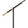 10 Watt Adjustable Metal Frame Floor Lamp, Black and Brass