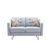 Caden 54 Inch Modern Loveseat with Side Pocket and 2 Pillows, Light Gray