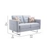 Caden 54 Inch Modern Loveseat with Side Pocket and 2 Pillows, Light Gray
