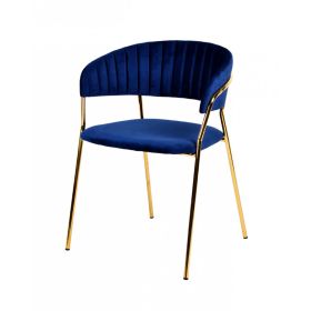 Fabric Upholstered Dining Chair with Metal Legs, Set of 2, Blue and Gold