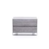 2 Drawer Rectangular Nightstand with Stainless Steel Legs, Gray