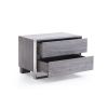 2 Drawer Rectangular Nightstand with Stainless Steel Legs, Gray