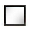 Dual Tone Stainless Steel Frame Wall Mirror, Black and Gold