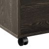 20 Inch Wood Rolling File Cabinet, 1 Large Cabinet, 1 Drawer, Dark Oak