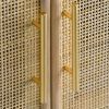 Dana 40 Inch Storage Cabinet, Wood Frame, 2 Shelves, 2 Rattan Doors, Brown