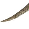 20 Inch Bird Sculpture Decor, Perched Pheasant, Antique Gold Resin