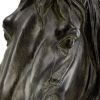 16 Inch Modern Decorative Figurine Sculpture, Horse Bust, Black Polyresin
