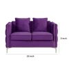Zion 53 Inch Modern Loveseat, Button Tufted Purple Velvet, Nailhead Trim