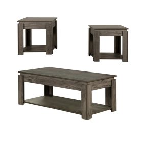 3 Piece Coffee Table and End Table Set with Raised Tops, Weathered Gray