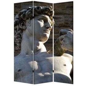 Brar 71 Inch 3 Panel Canvas Screen, Michelangelos David Print, Multicolor (Color: Multicolor)