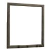 35 Inch Transitional Style Wooden Frame Mirror, Gray