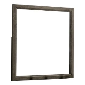 35 Inch Transitional Style Wooden Frame Mirror, Gray (Color: Gray)